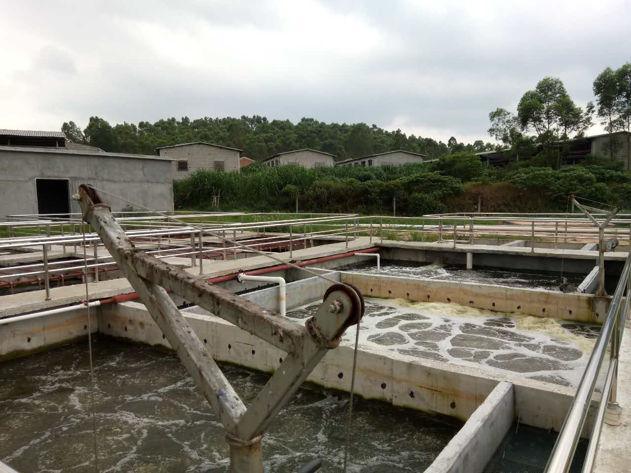 養(yǎng)豬廢水處理臭氧發(fā)生器 養(yǎng)殖廢水